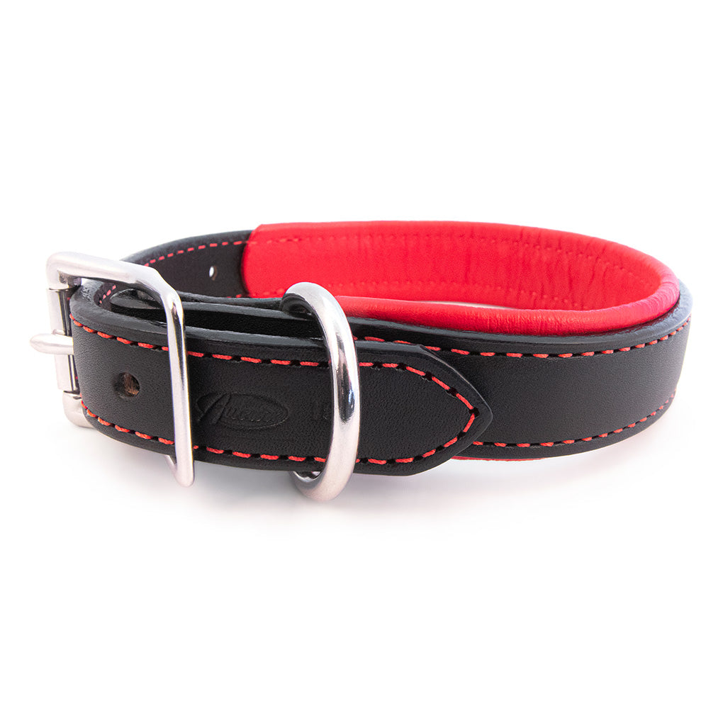 Padded Leather Collar in Many Colors
