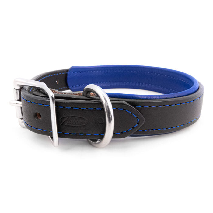 Padded Leather Collar in Many Colors