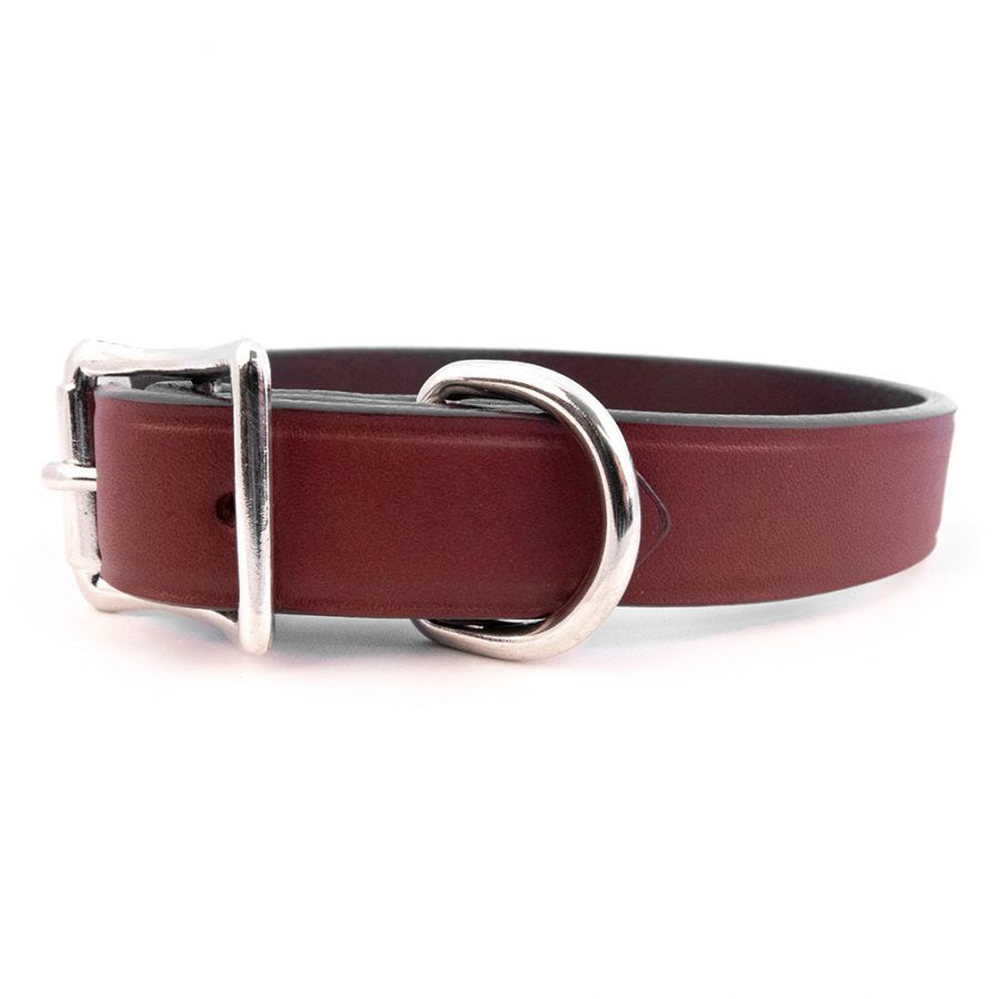 AUBURN Town Collar in Many Colors
