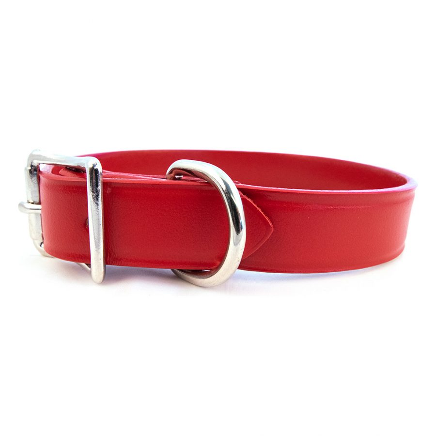 AUBURN Town Collar in Many Colors